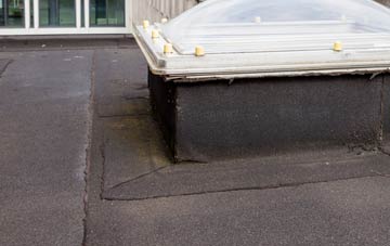 disadvantages of Wallands Park flat roofs