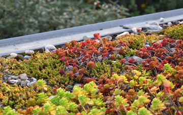 the cost of Wallands Park green roof installation